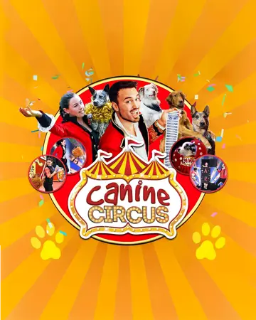 The Canine Circus
